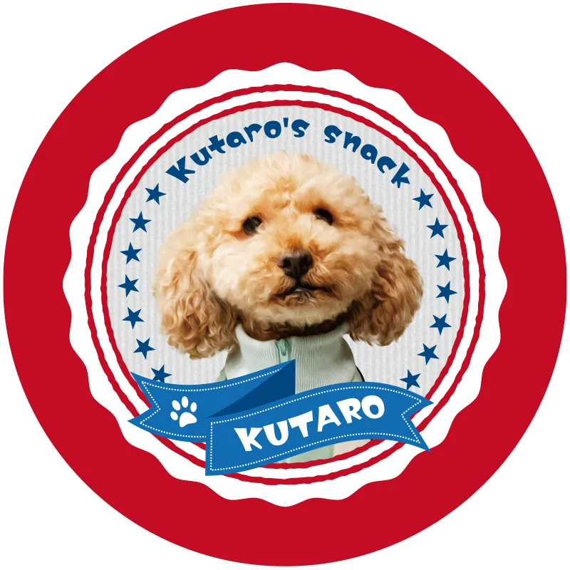 Aタイプ